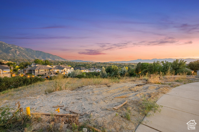 7913 Danish Pine Ln 1  Cottonwood Heights UT 84121 photo