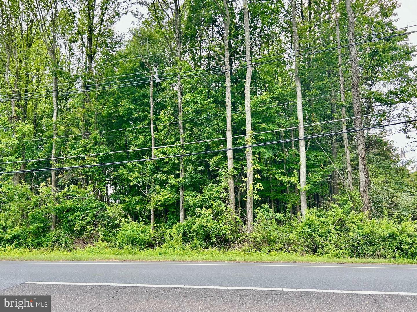 Property Photo: 85 Carter Road NJ 08540