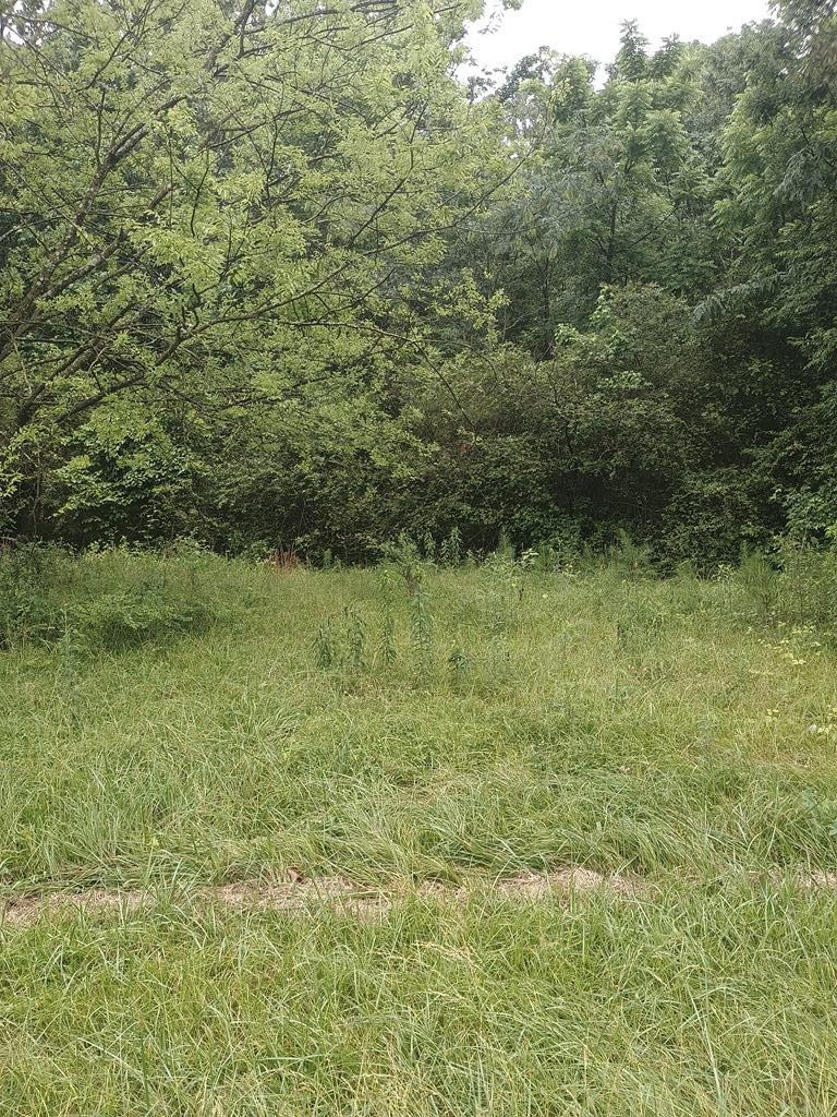 Property Photo: 0 Mount Carmel Road GA 30705