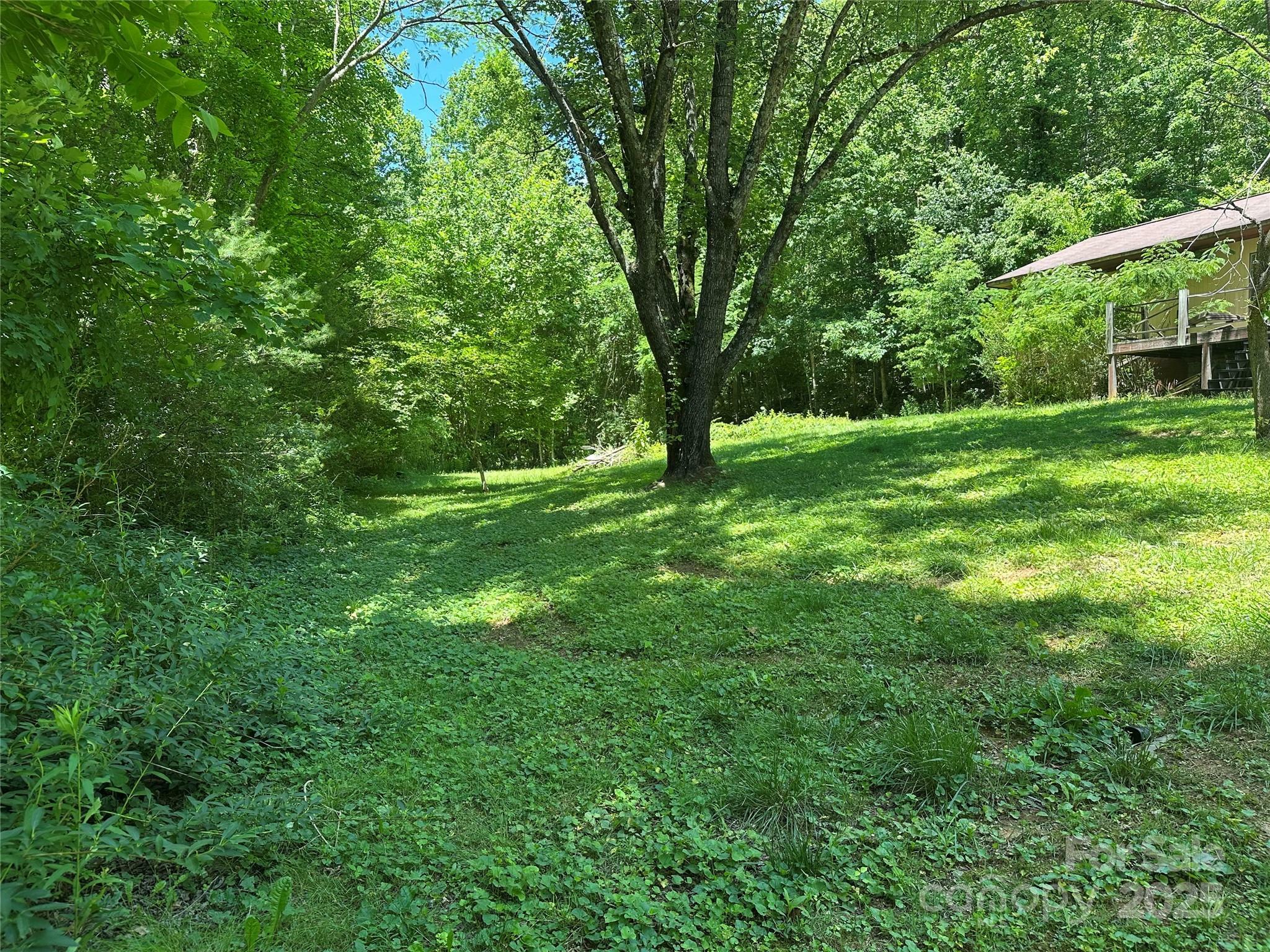 Property Photo:  204 Long Street  NC 28752 