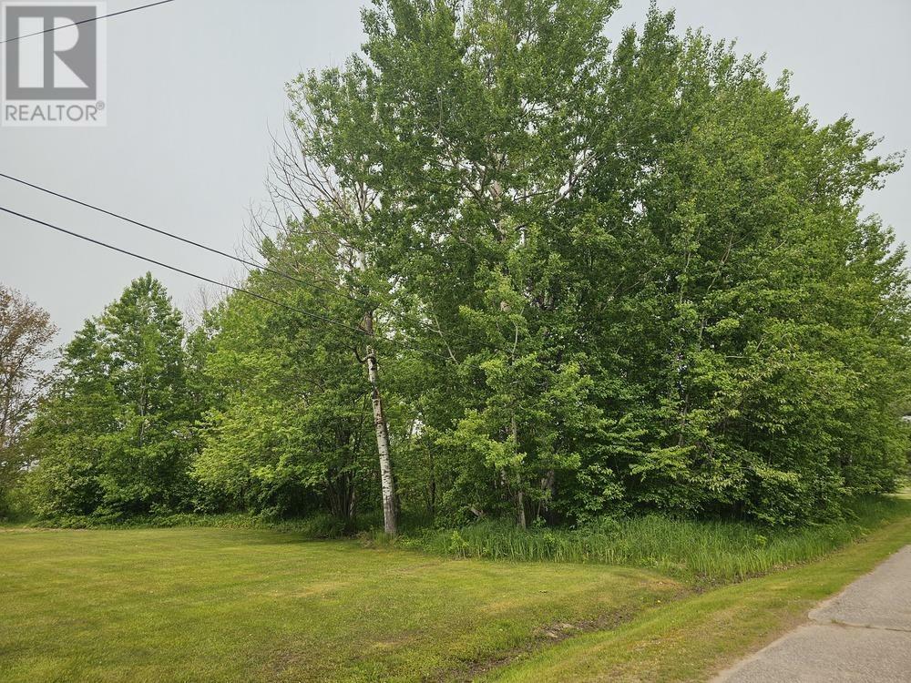 Property Photo:  187 Lake St, Vacant Land Yet To Be Severed  ON P0S 1C0 