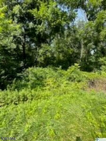 80 Route 519  Pohatcong Twp. NJ 08865 photo