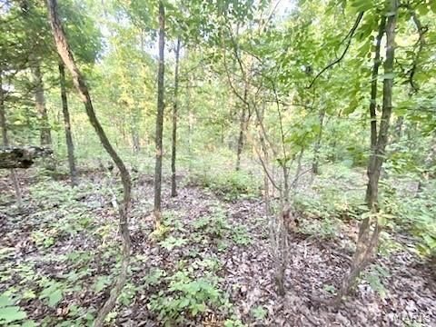 Property Photo: 0 Hamilton Hollow Road MO 63080