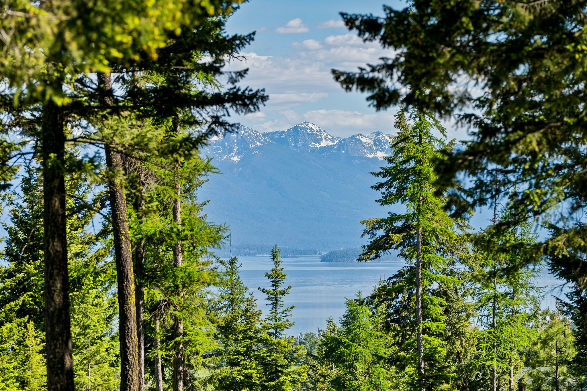Property Photo:  41458 Big Lodge Lane  MT 59931 