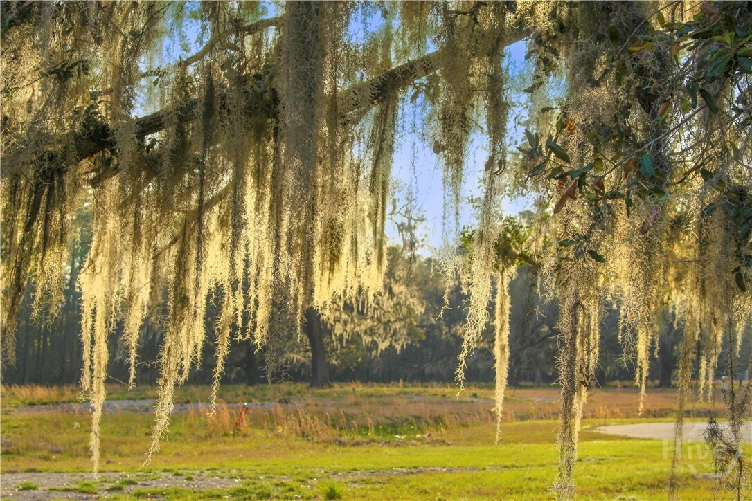 1 William'S (36 Lots 95 Acres) Retreat  Savannah GA 31419 photo