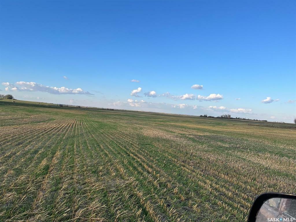Property Photo:  Rural Address  SK S0K 0Z0 
