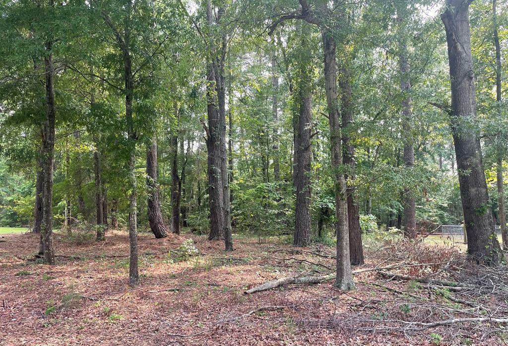 Property Photo:  Gin Pond Dr.  SC 29048 