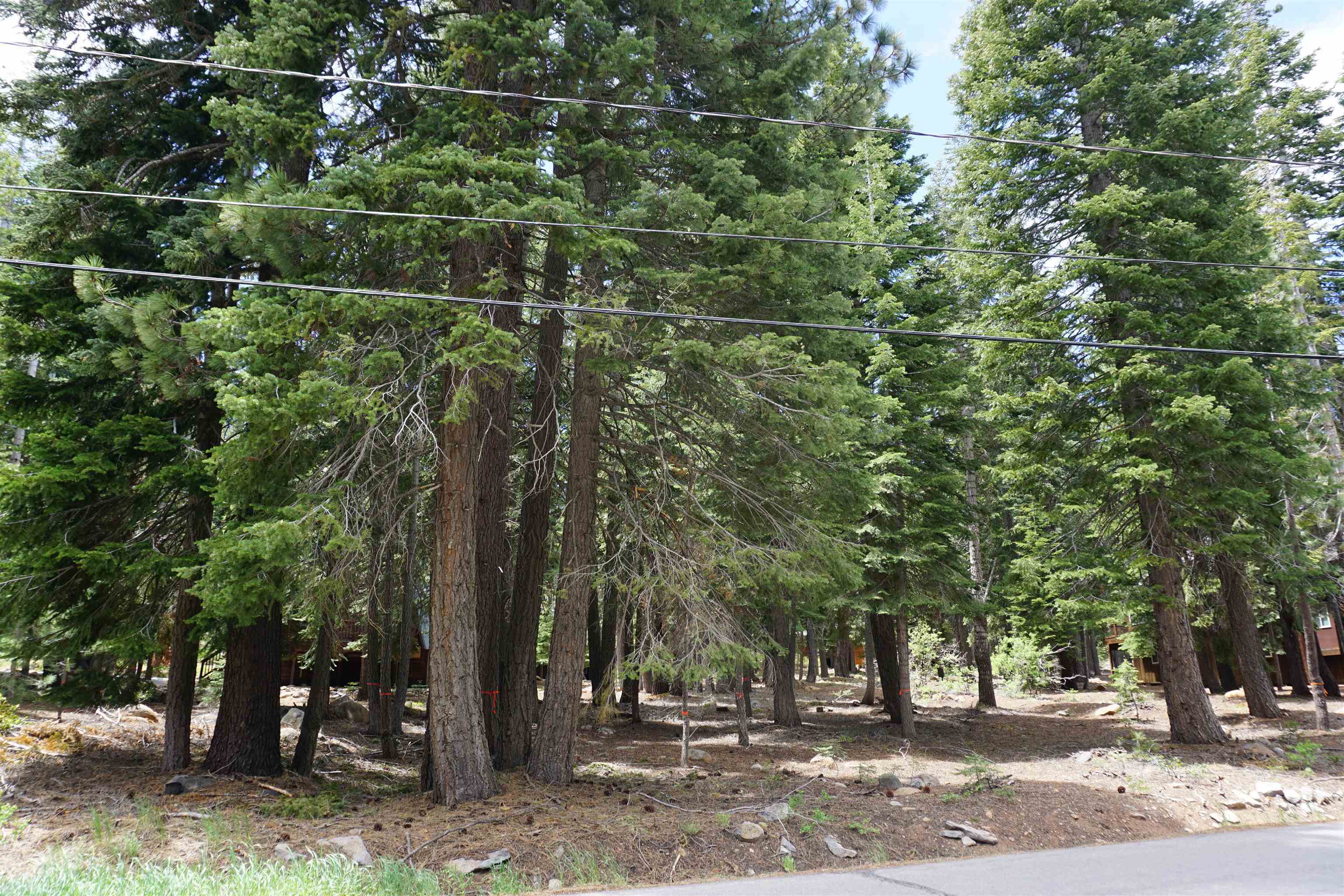Property Photo:  13436 Weisshorn Avenue  CA 96161-0000 
