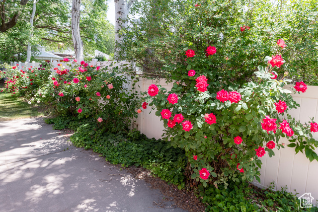Property Photo: 3695 S 2140 E UT 84109