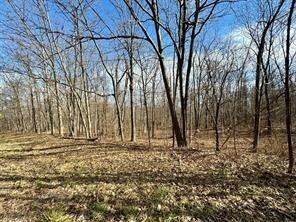 Property Photo: 0 Belle Cornell/State Route 414 Drive NY 14865