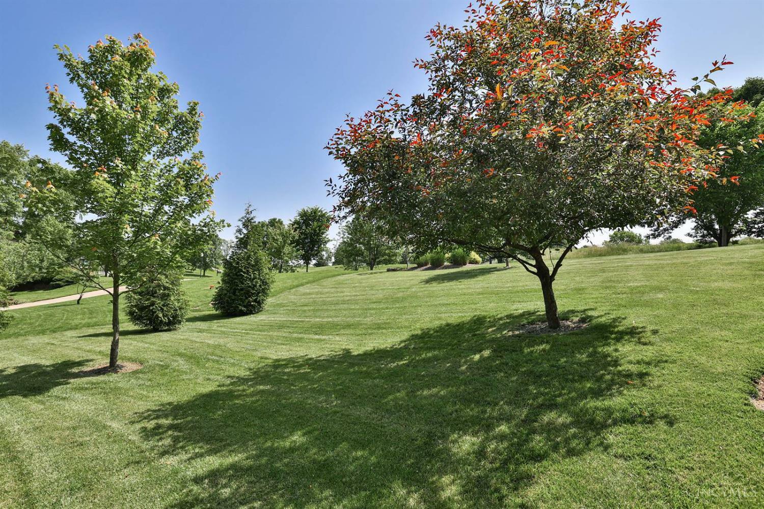 Property Photo: 897 Southerness Drive OH 45245