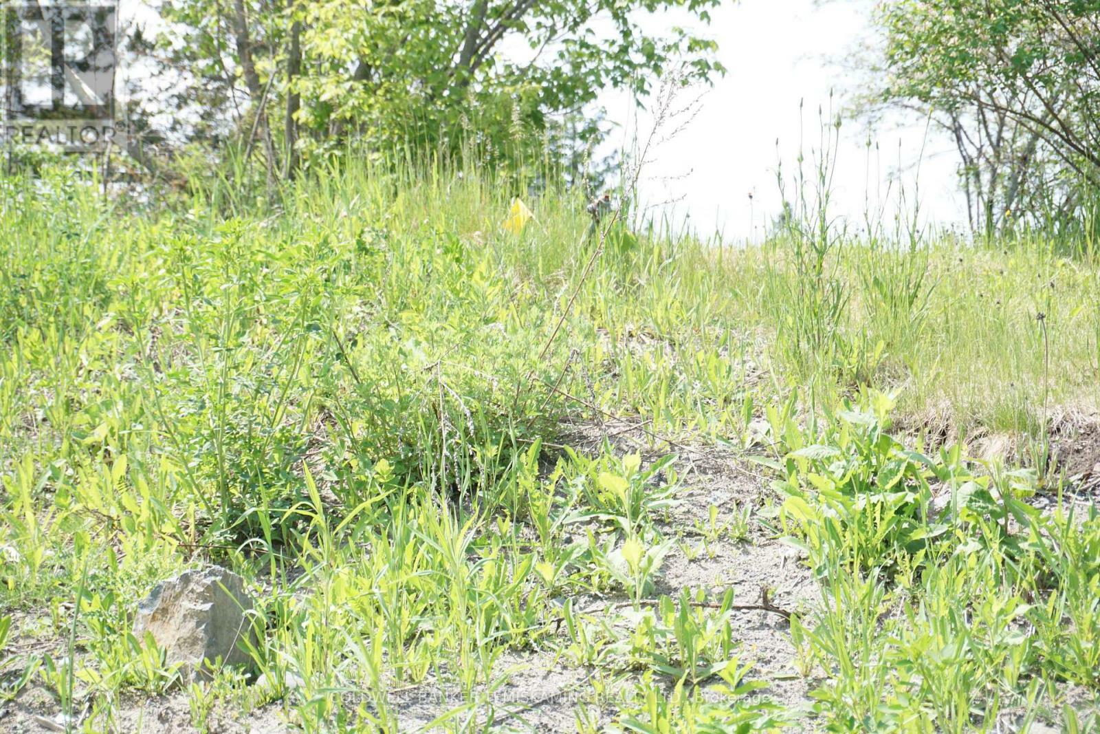 Photo de la propriété: 93 Jamieson Street ON P0J 1C0
