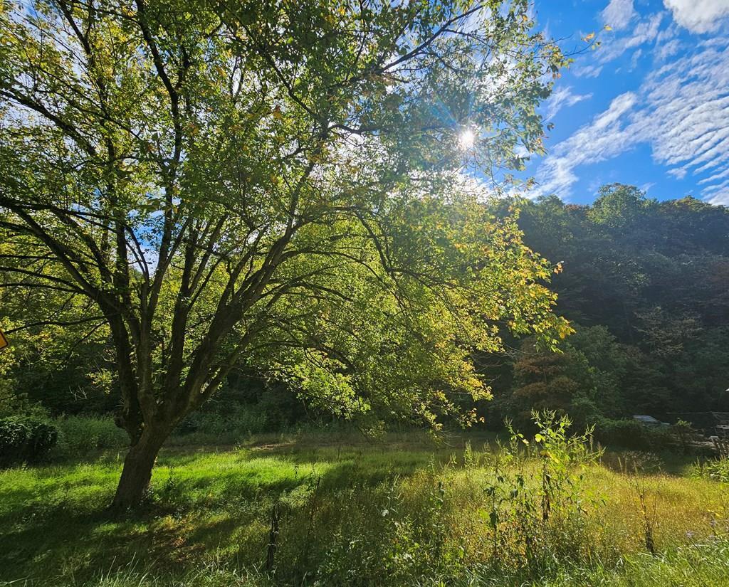 Property Photo:  7841 Hwy 1690  KY 41230 