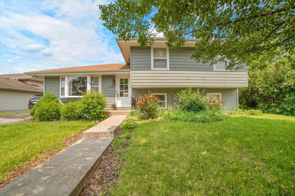 Property Photo:  6603 Paul Briese Court  IL 60544
