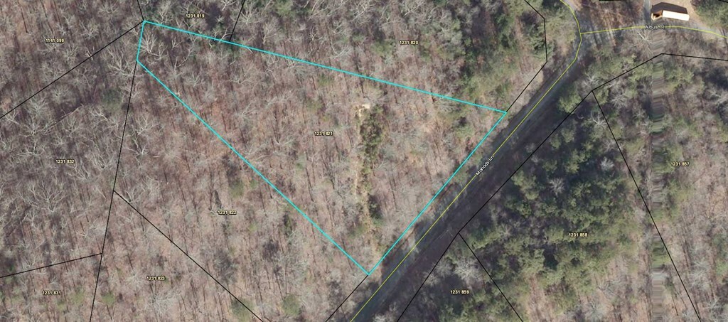 Property Photo: Lot 821 Monody Lane GA 30734