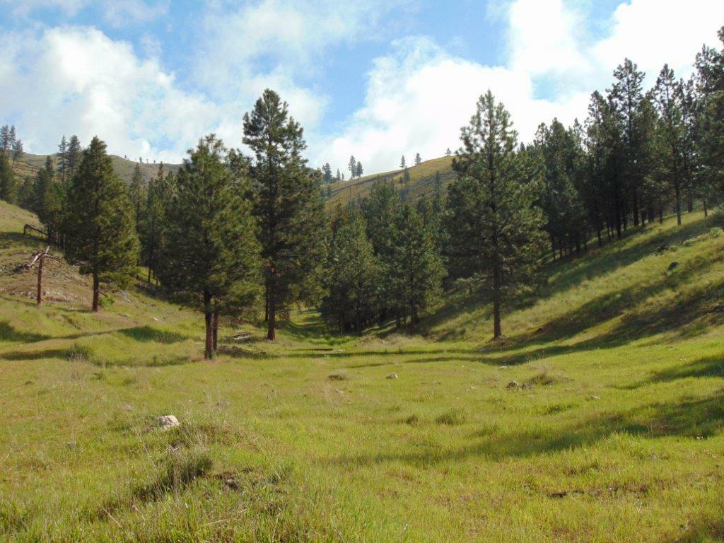 Property Photo:  27235 Lazy Springs Road  MT 59825 