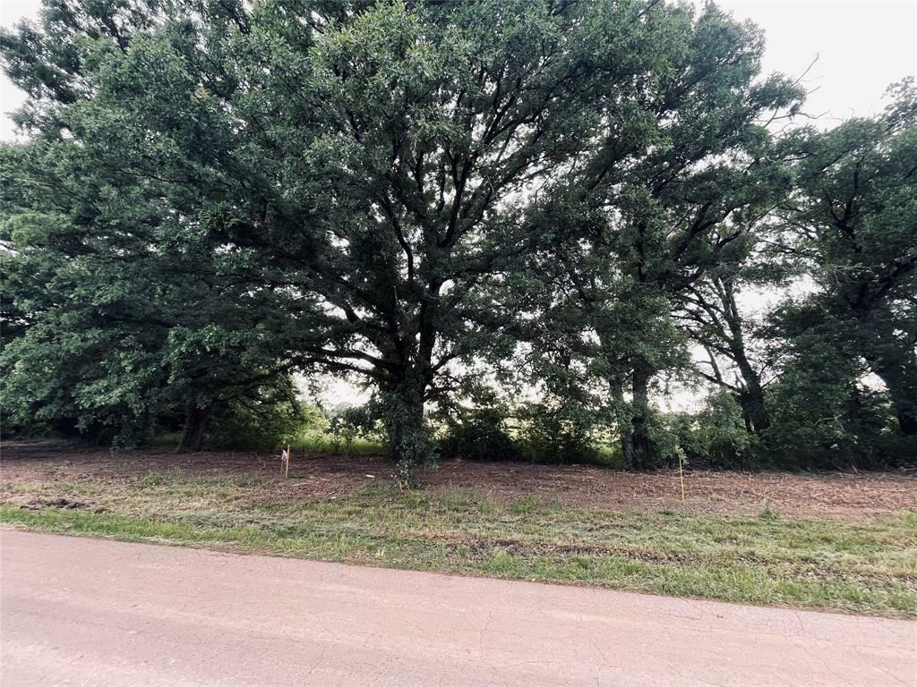 Property Photo: Lot 1 County Road 1560 TX 75410