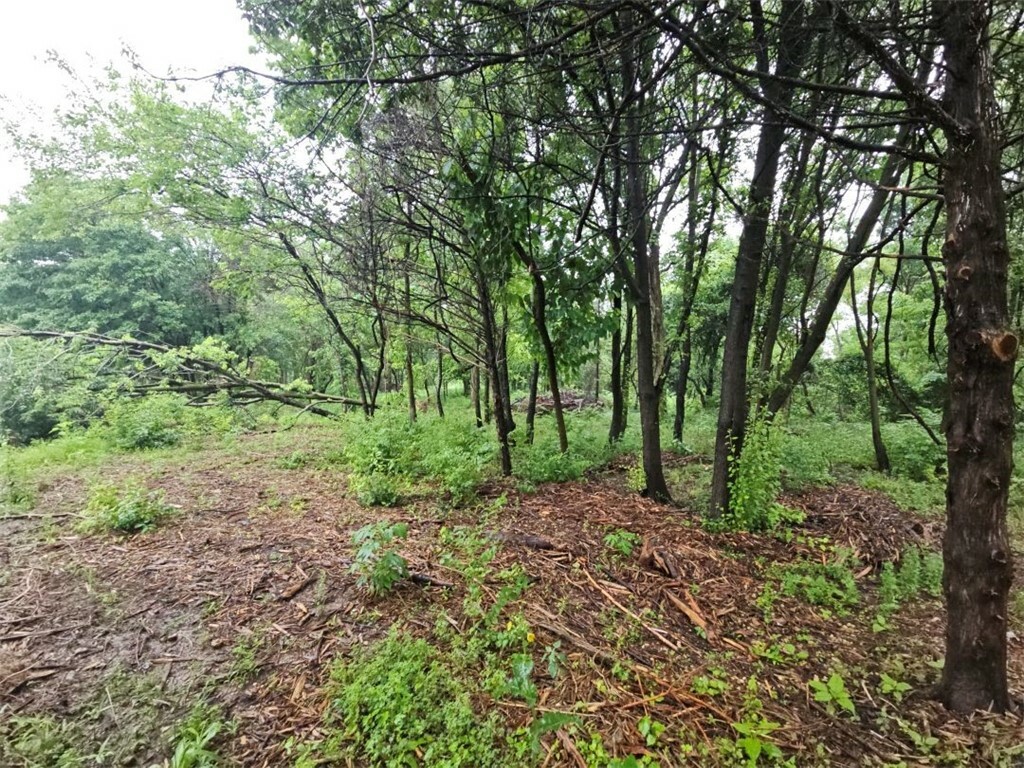 Tbd W Dyke Road  Rogers AR 72758 photo
