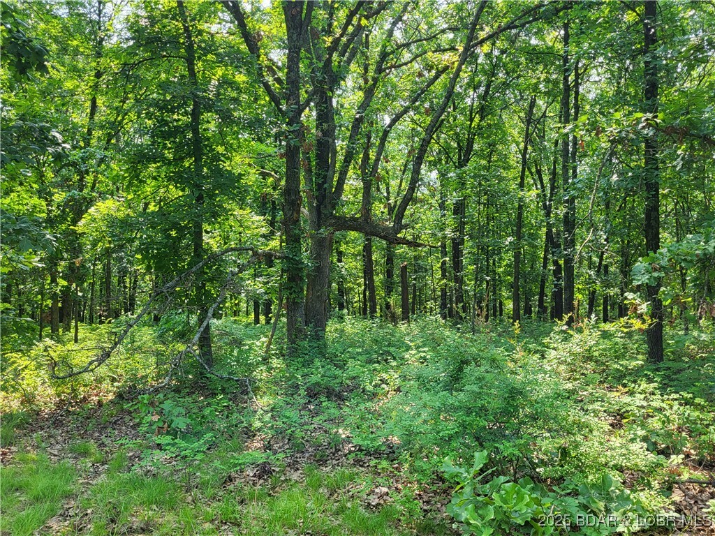 Property Photo: Rolfs Place Lots 3135 &Amp 3136 MO 65326