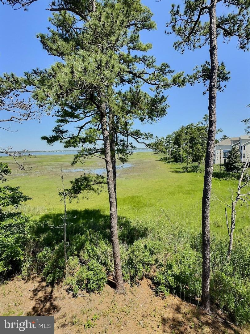 Property Photo: 29222 Park View Drive 16 DE 19939