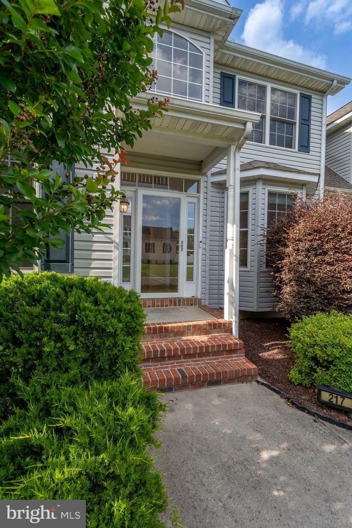 Property Photo: 217 Marions Way DE 19943