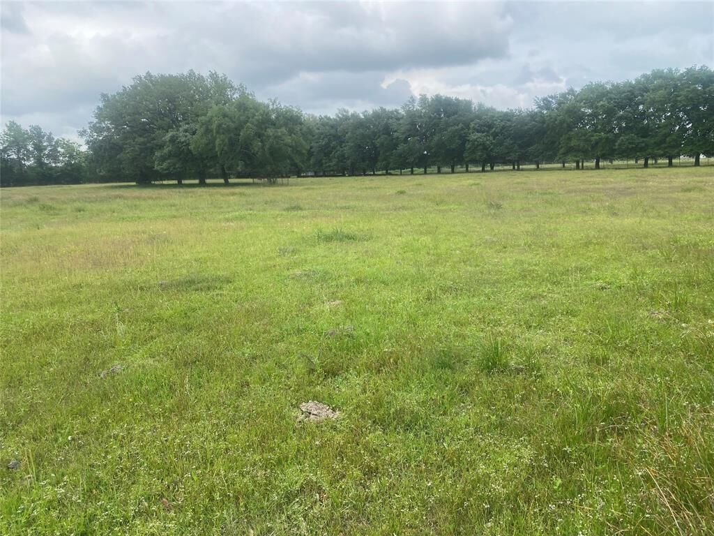 Property Photo: 00 Peters Road TX 77532