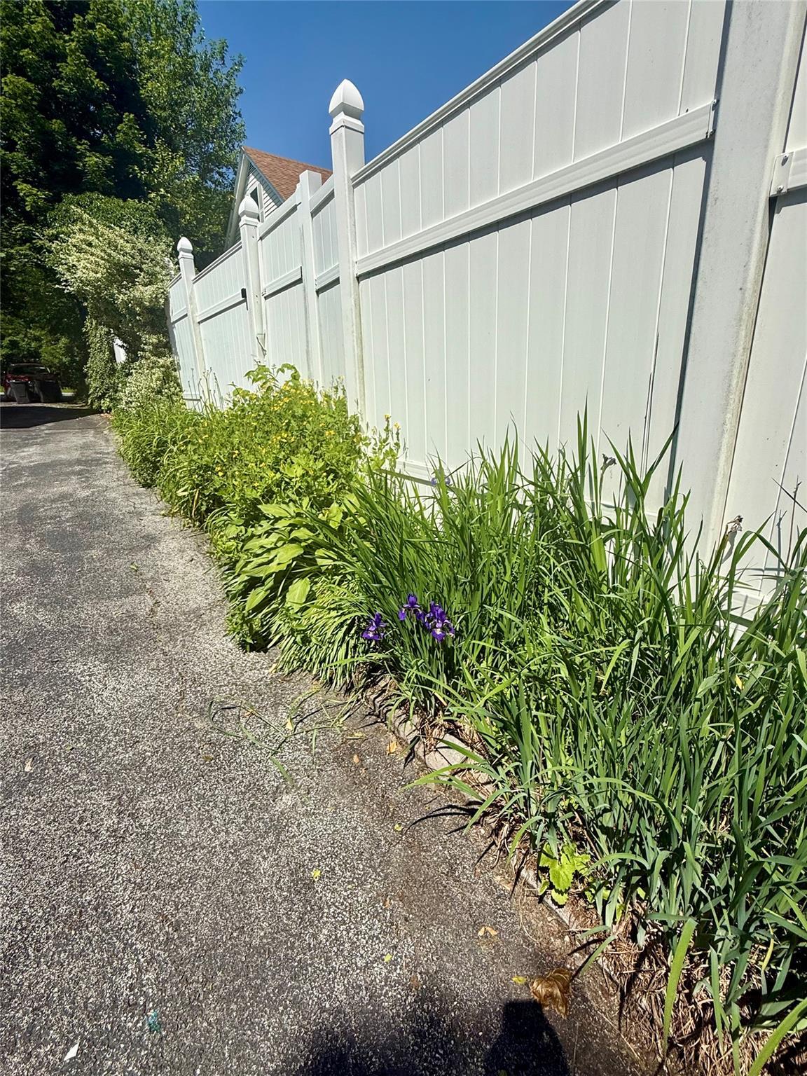 Property Photo:  281 Union Avenue  NY 12553 