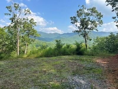 Lot 7 Eagle Fork Summit  Hayesville NC 28904 photo