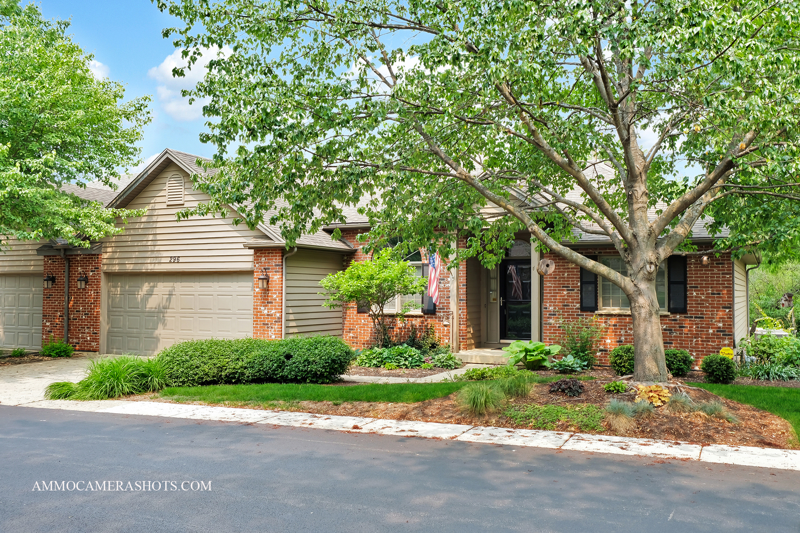 Property Photo: 296 Presidential Lane IL 60123