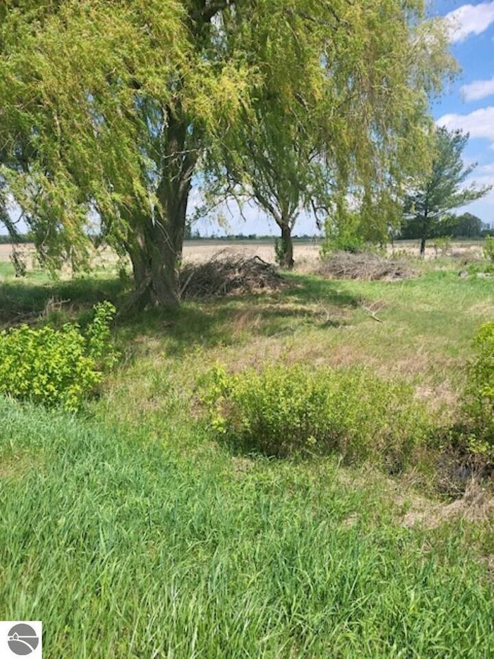 Property Photo:  5229 Sage Lake Road  MI 48756 