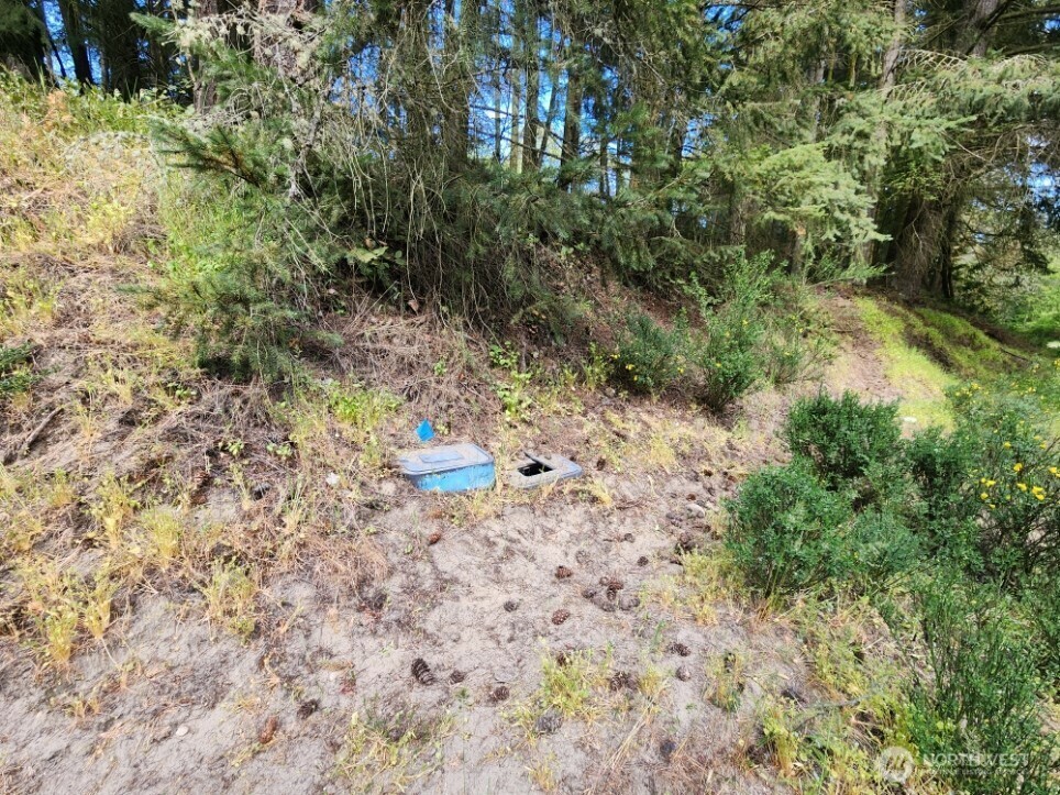 Property Photo: 936 Gasman WA 98362