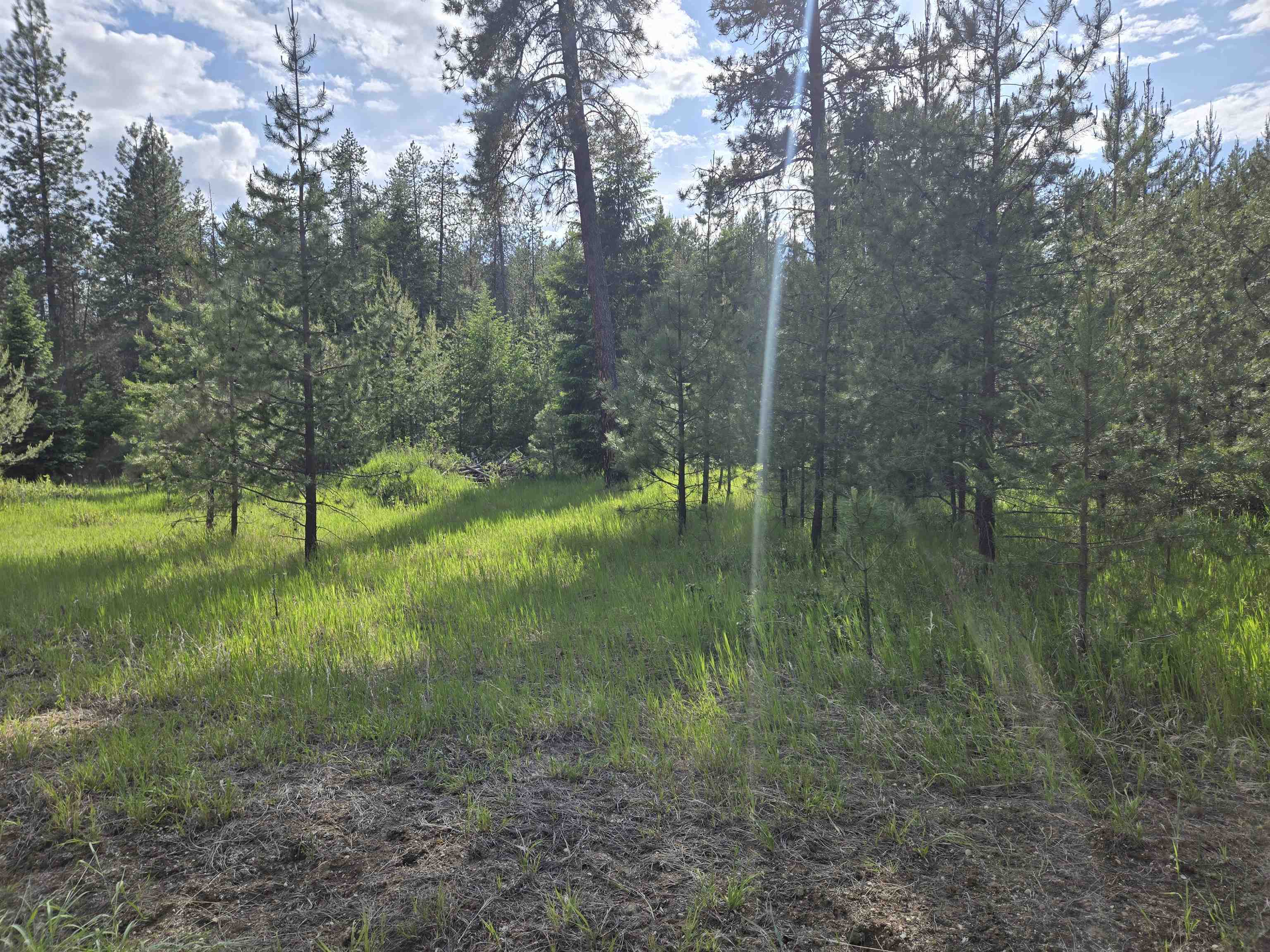 Property Photo: 26xx Sand Canyon Lot 3 Rd WA 99109