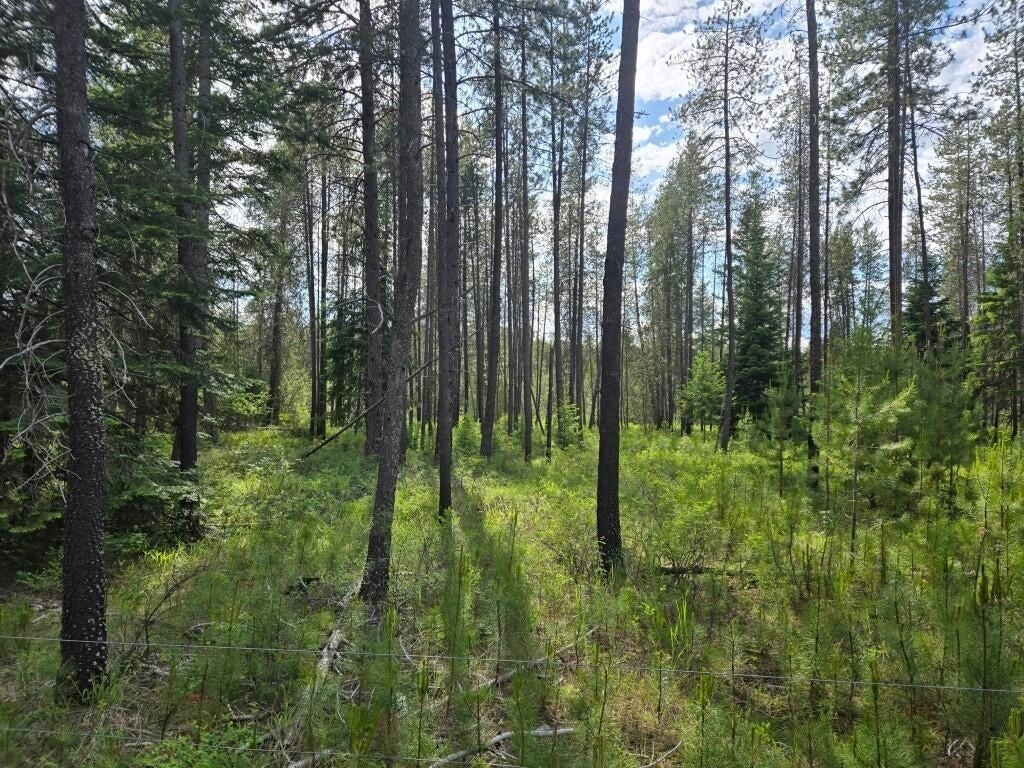 Property Photo: 26xx Sand Canyon Lot 2 Rd WA 99109