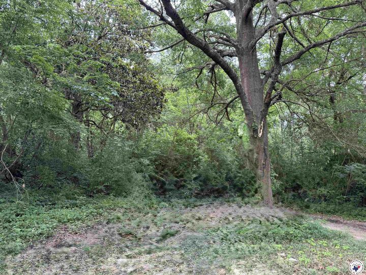 Property Photo:  402 Griffin  TX 75501 