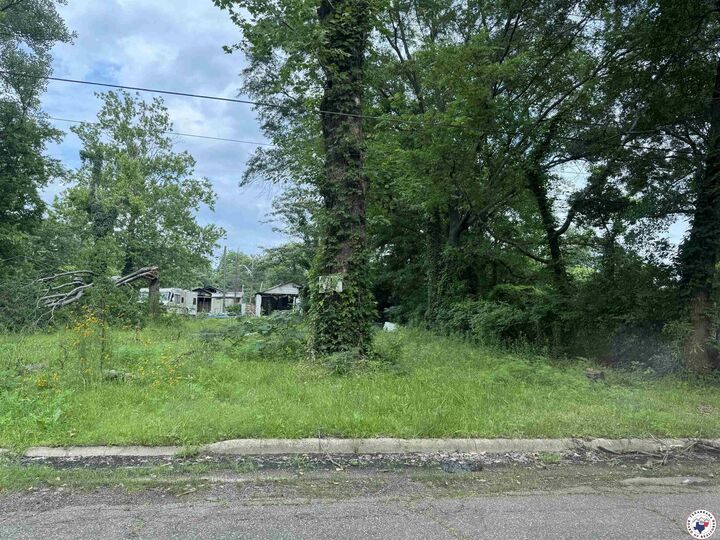 Property Photo:  917 Capp  TX 75501 