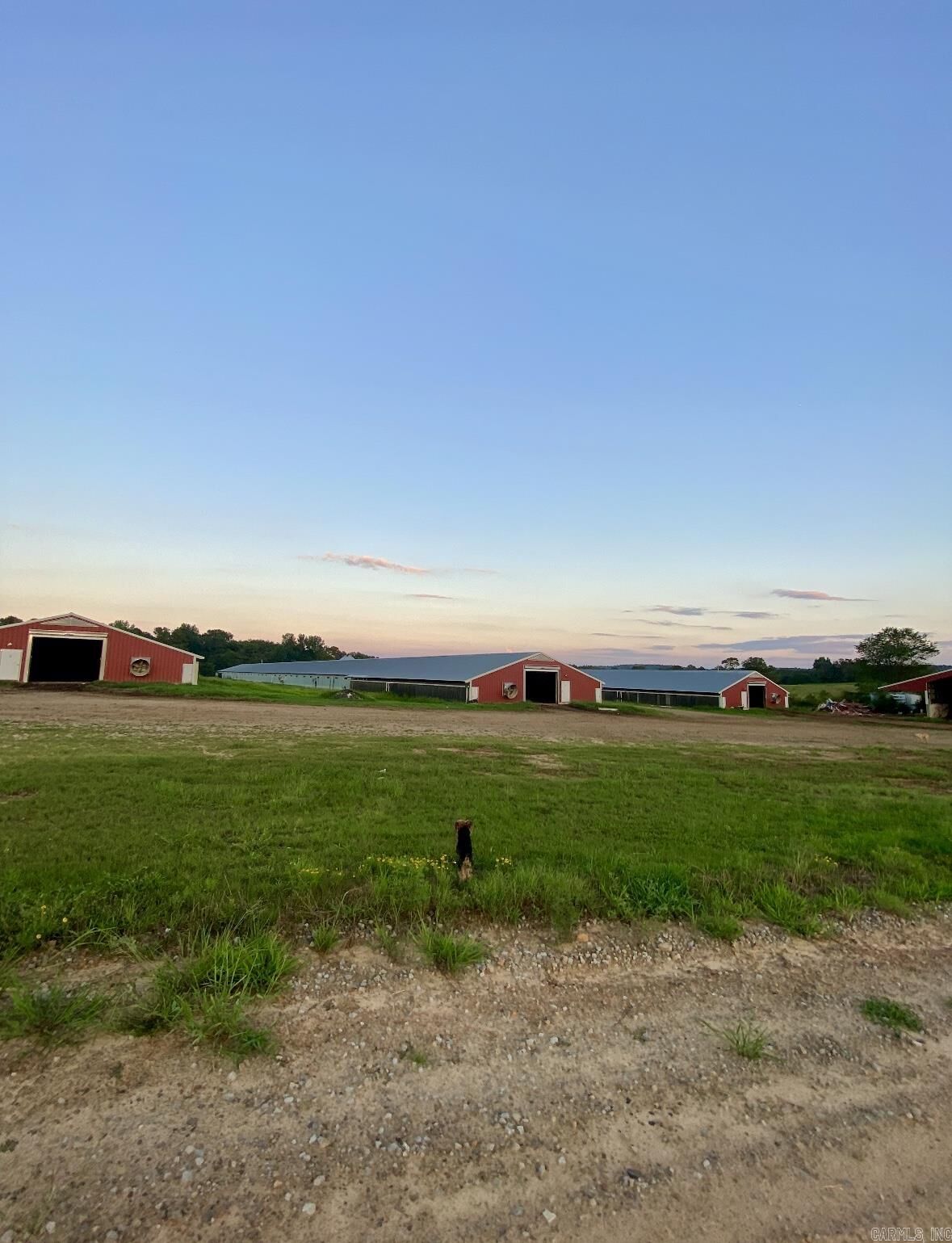 Property Photo: 000 County Road 3335 AR 72830