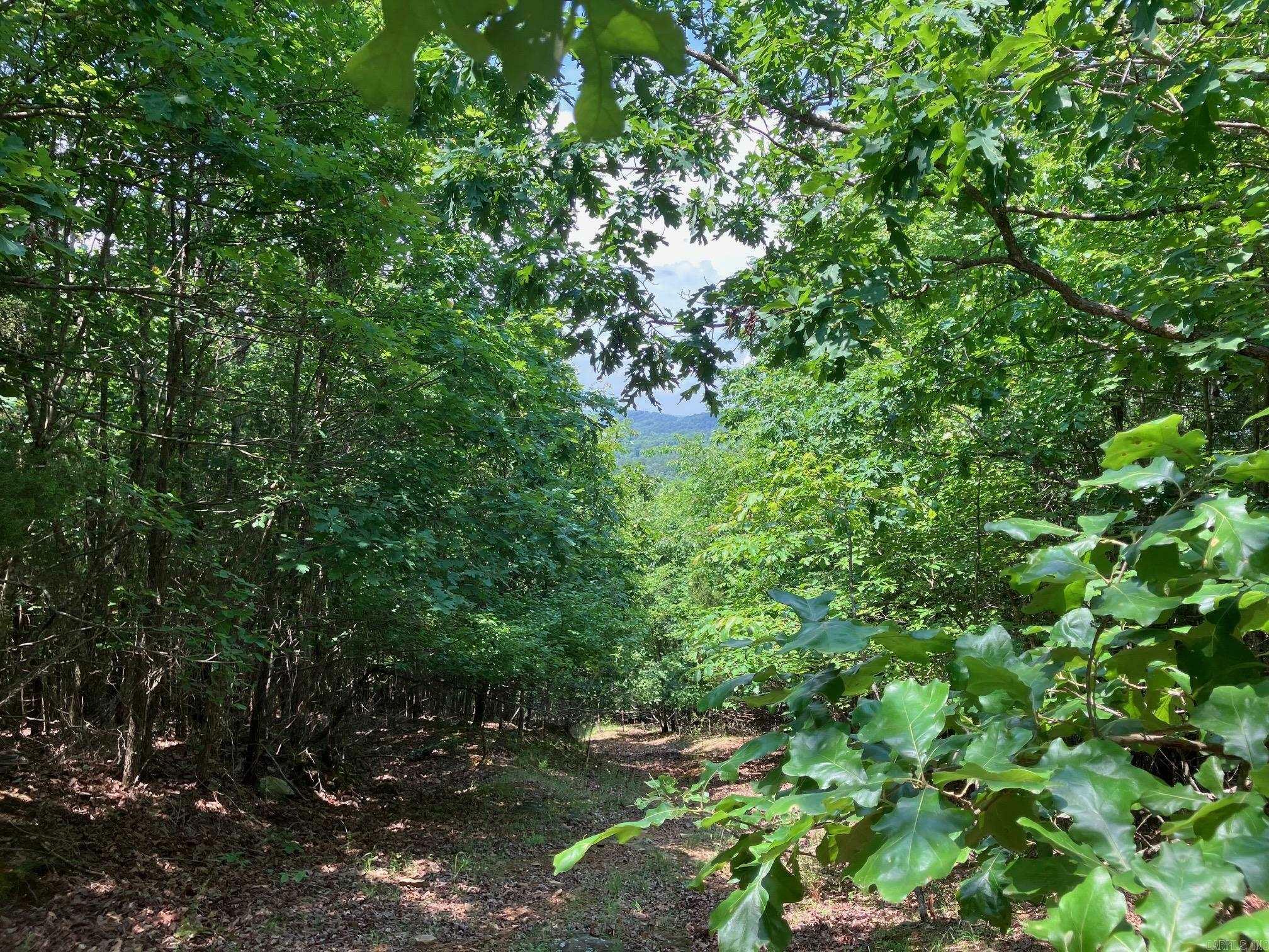 Property Photo: Tbd Tract 5 Thompson Creek Lane AR 71953