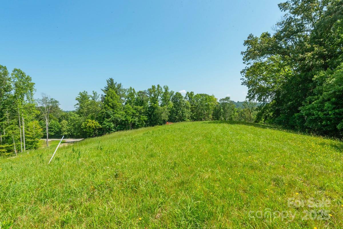 Property Photo: 116 Lilikoi Lane 95 NC 28804