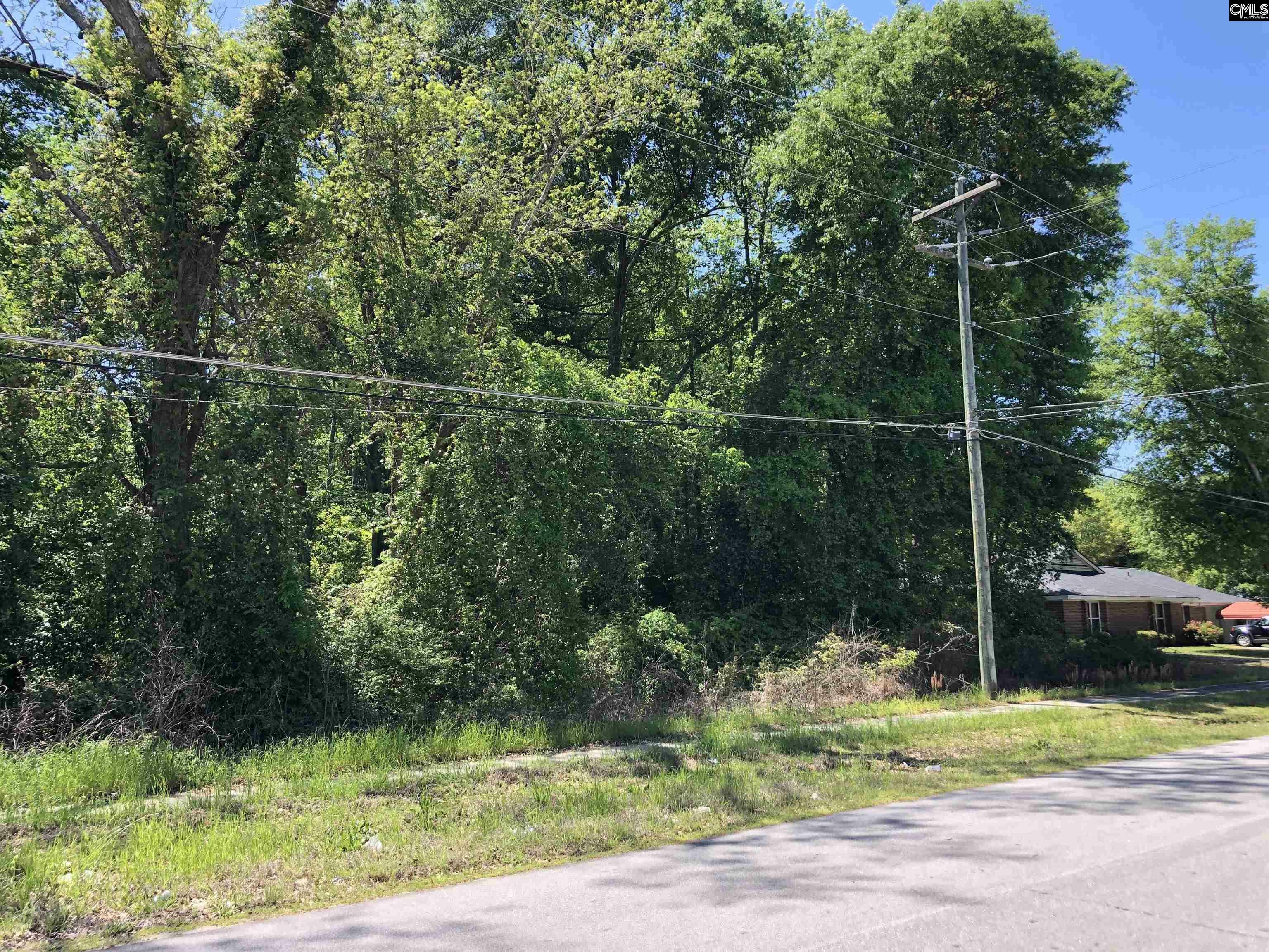 Property Photo: 0 Hampton SC 29042