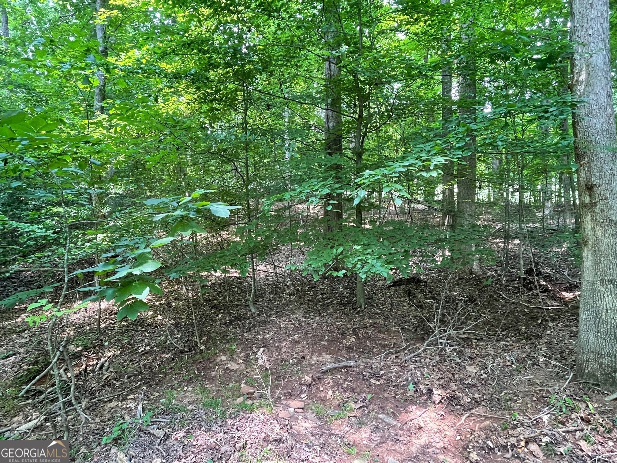 Property Photo: Lot 784 S Hogan Drive SC 29693