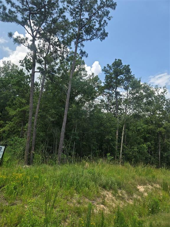Property Photo: 1331 Road 66113 Drive TX 77535