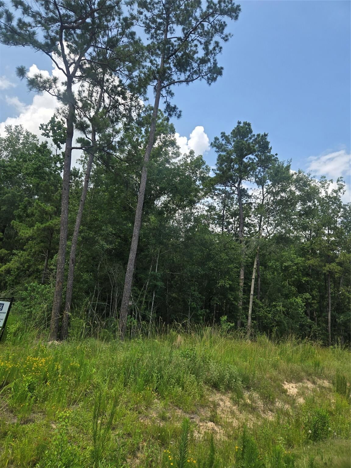 Property Photo:  1331 Road 66113 Drive  TX 77535 