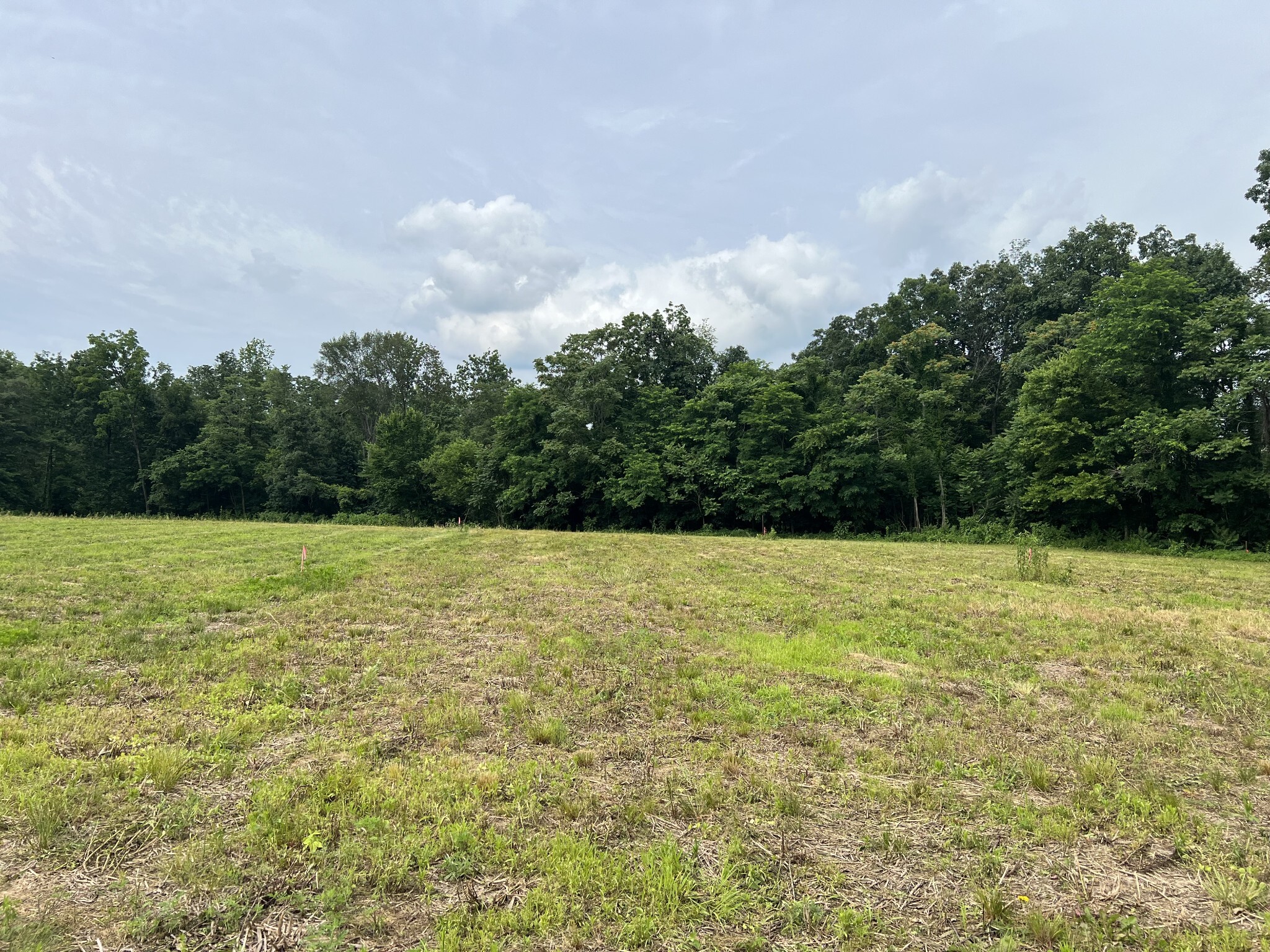 Property Photo:  21 Annie Hollow Rd  TN 37186 