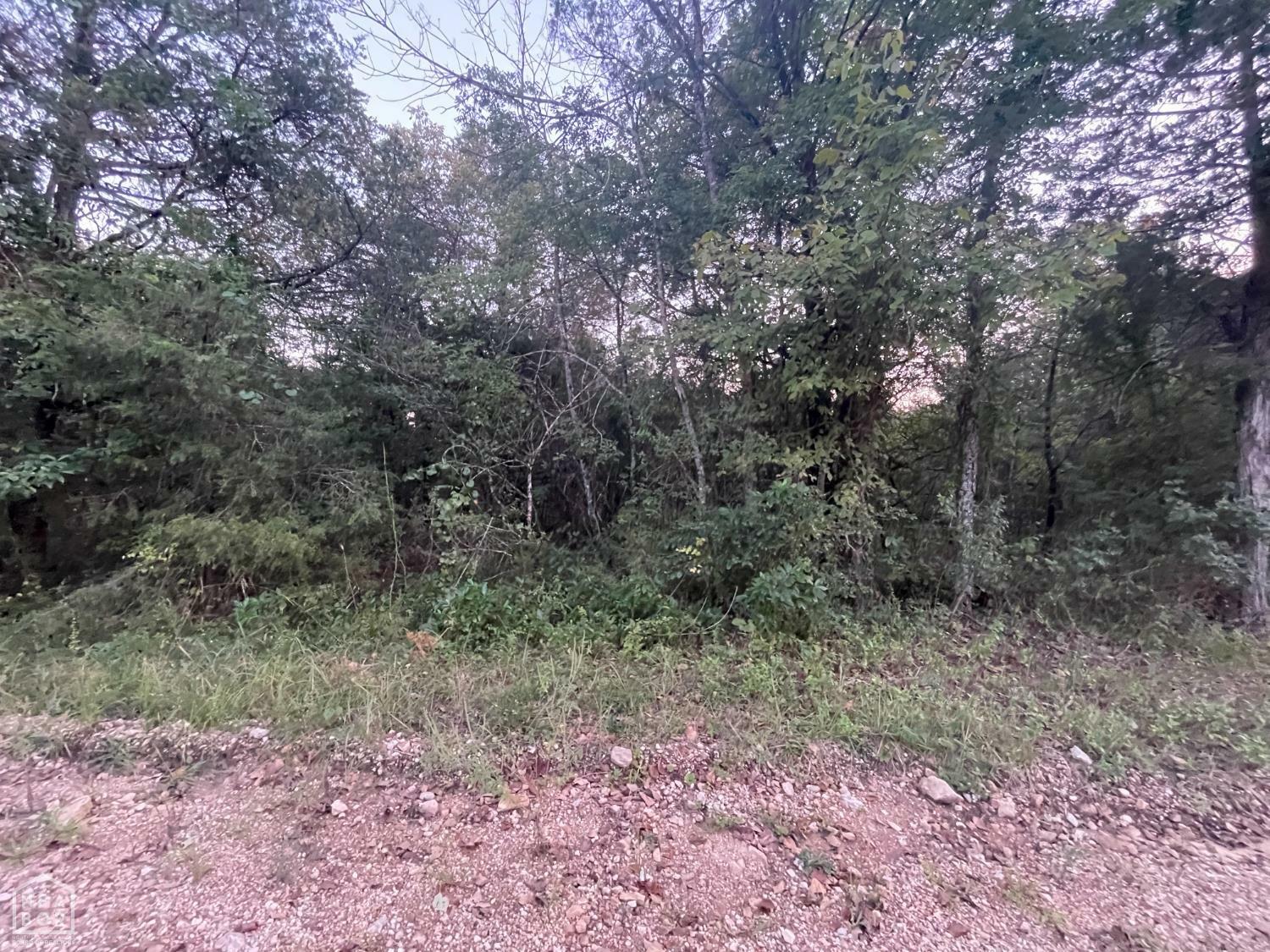 Property Photo: 1 Canary Lane AR 72630