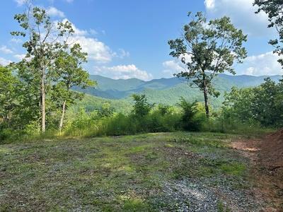 Property Photo: Lot 7 Eagle Fork Summit NC 28904
