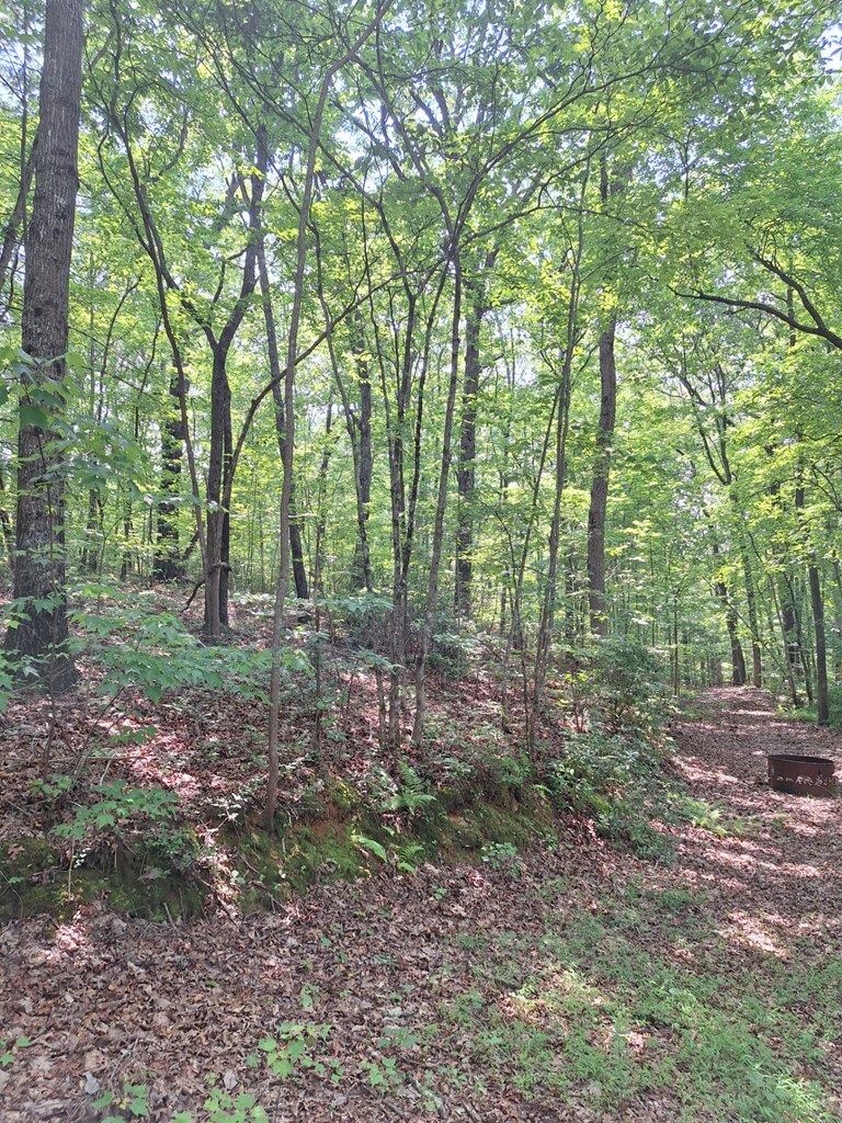 Property Photo:  0 Sunrock Mountain Trc  GA 30513 