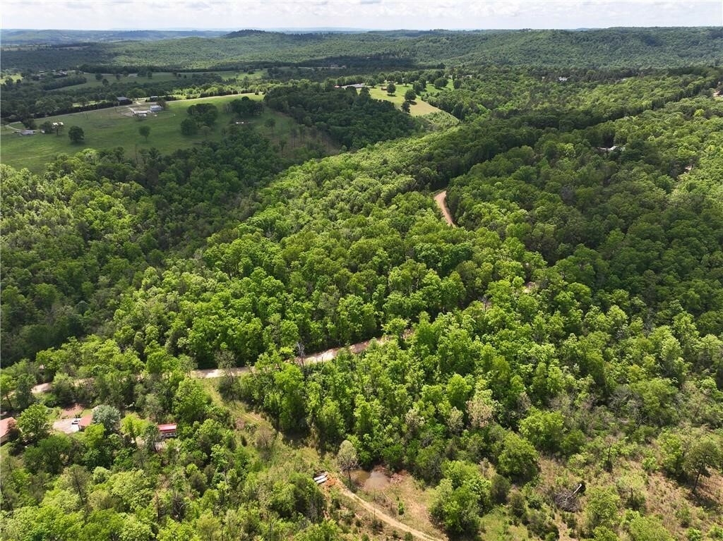 Property Photo:  Tbd Polite Road  AR 72662 
