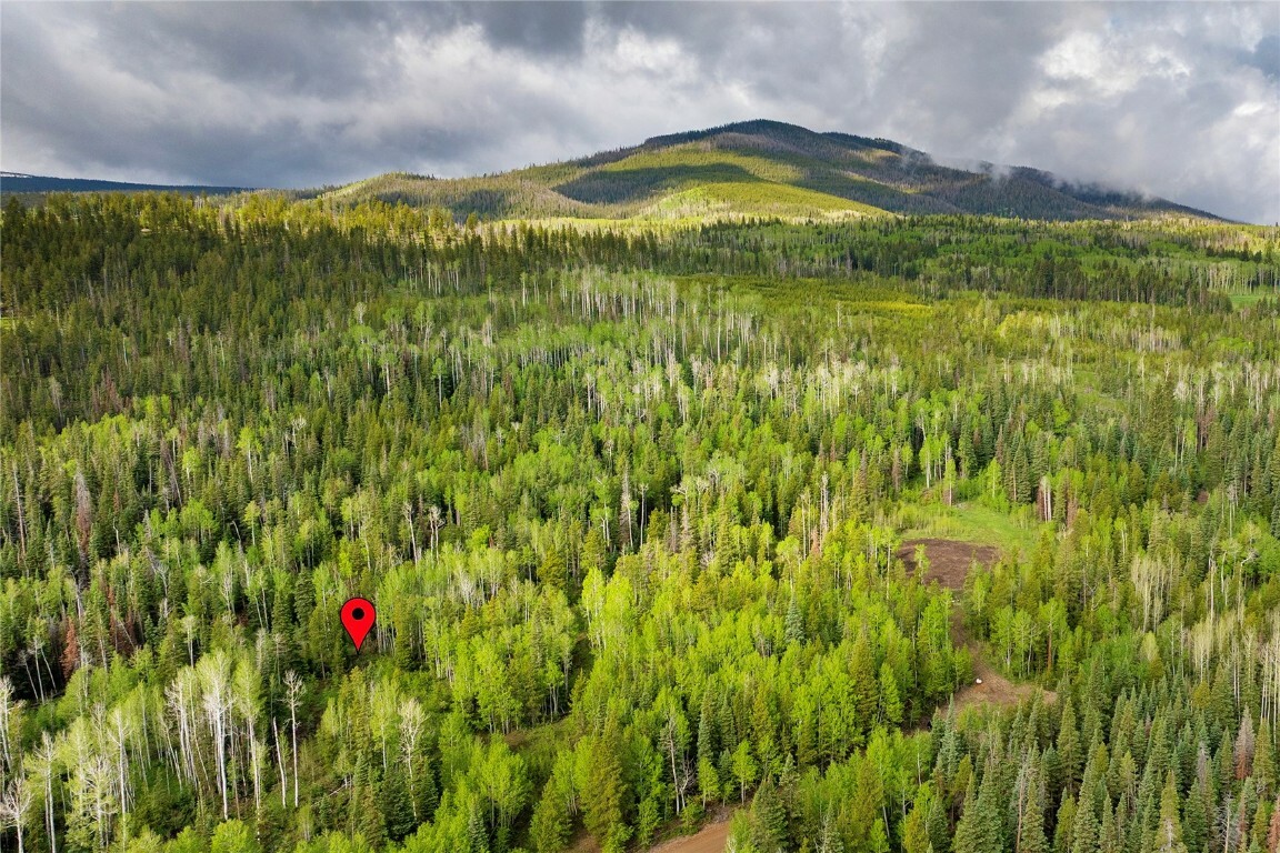 Property Photo:  336 Blue Spruce Road  CO 80498 