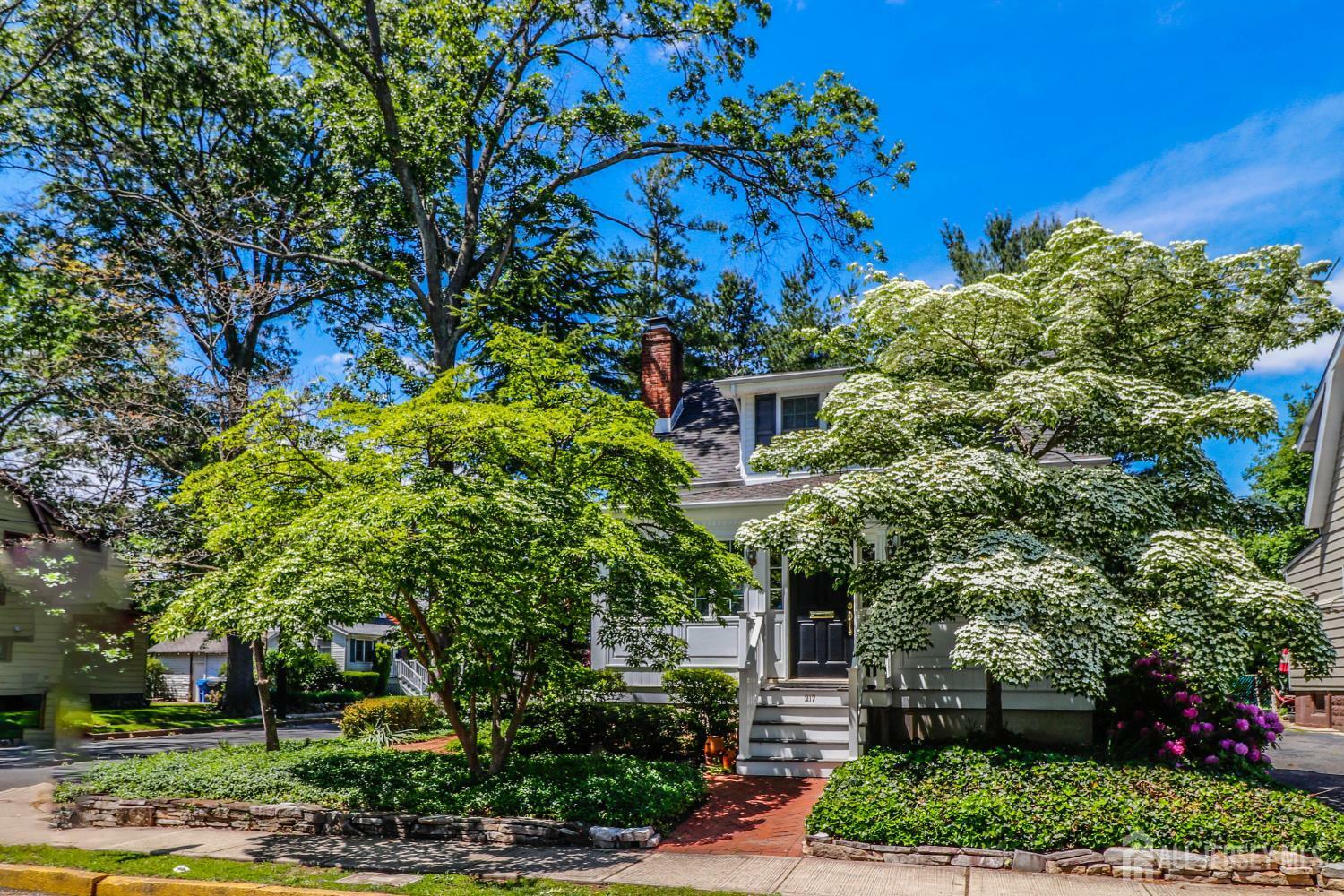 Property Photo: 217 Midland Avenue NJ 08840