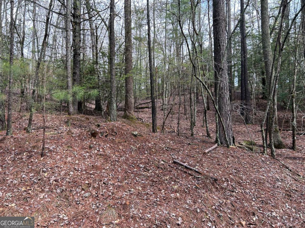 Property Photo: Lt2788 Medina Court GA 30540